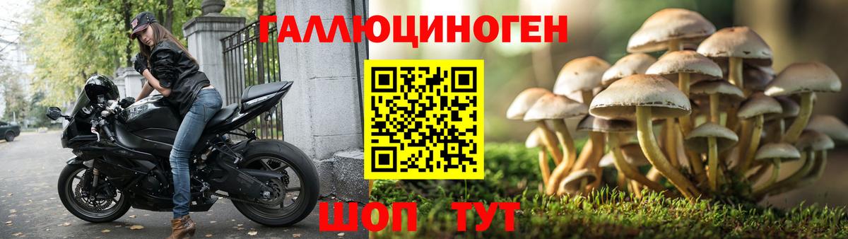 Псилоцибиновые грибы ЛСД Заволжье